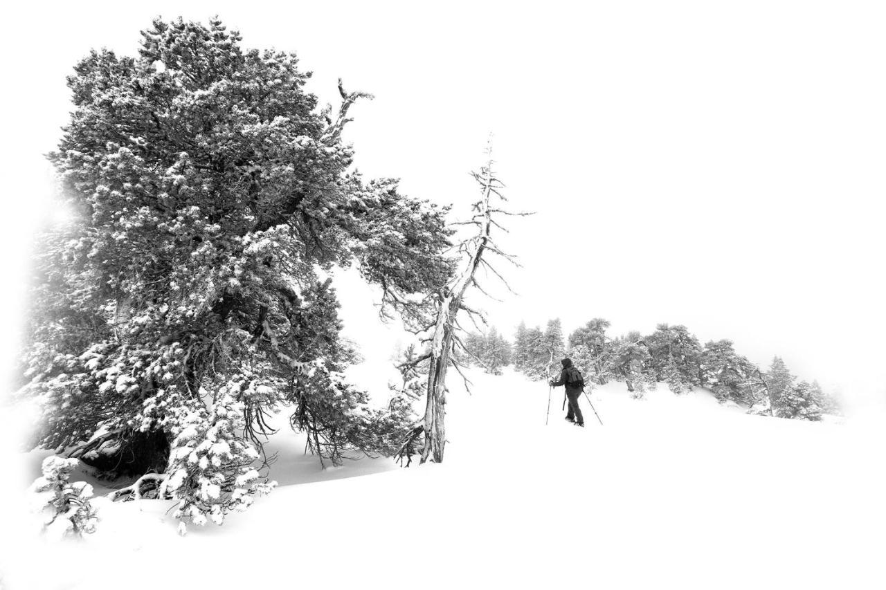 Atipic Lodge Arette Eksteriør bilde