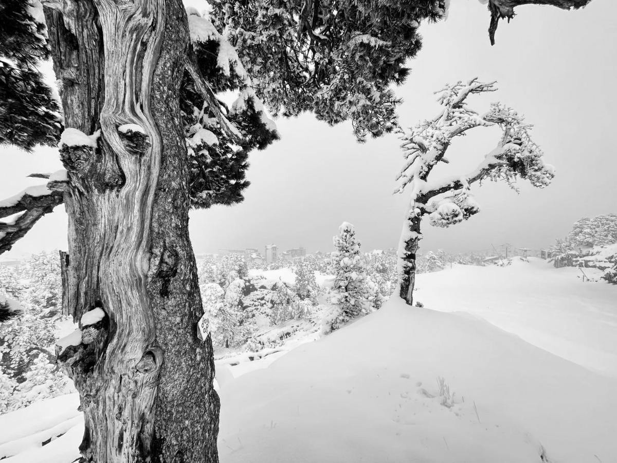Atipic Lodge Arette Eksteriør bilde